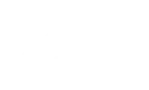 Kostel Group